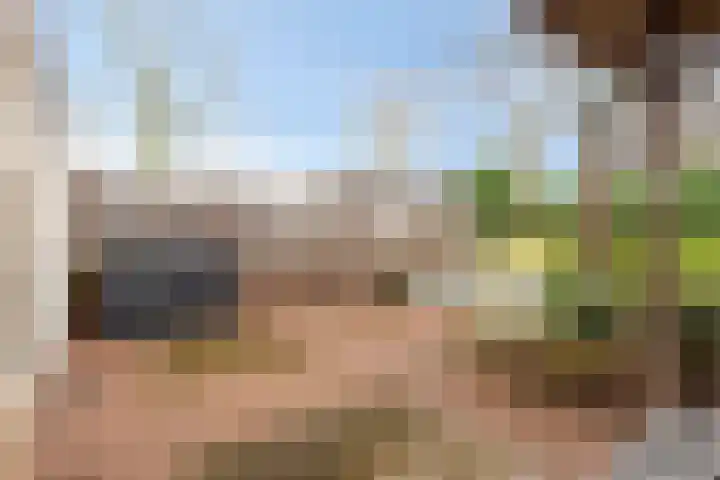 Otterhage 24 Berlicum thumbnail 14