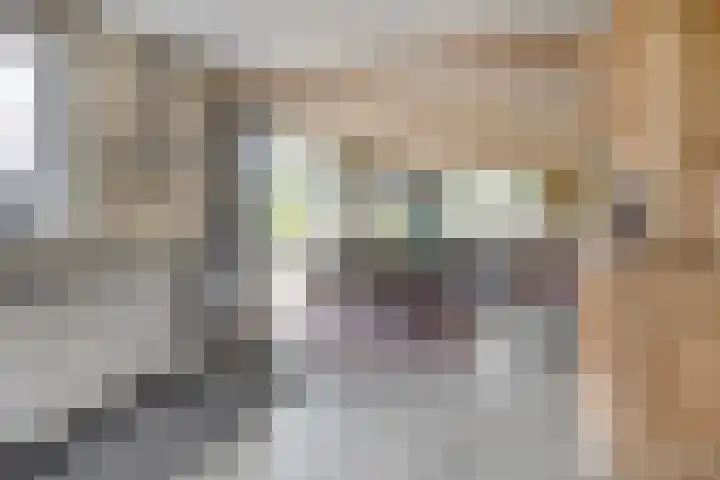 Otterpad 1 Scheerwolde thumbnail 14