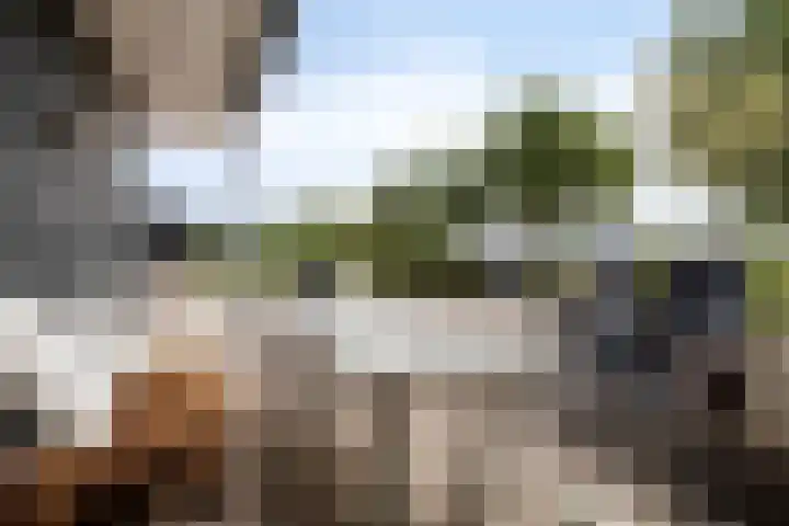 Otterpad 1 Scheerwolde thumbnail 37