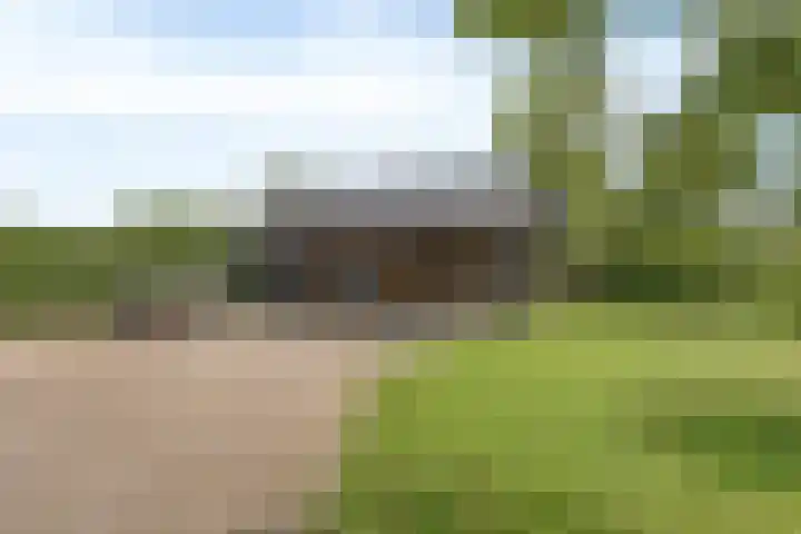 Otterpad 1 Scheerwolde thumbnail 39
