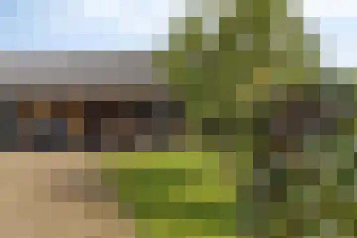 Otterpad 1 Scheerwolde thumbnail 4