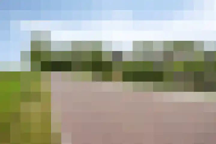 Otterpad 1 Scheerwolde thumbnail 41