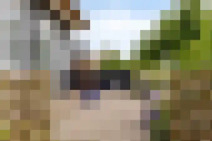 Otterpad 1 Scheerwolde thumbnail 43