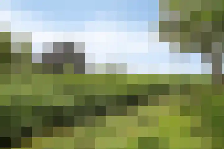 Otterpad 1 Scheerwolde thumbnail 47