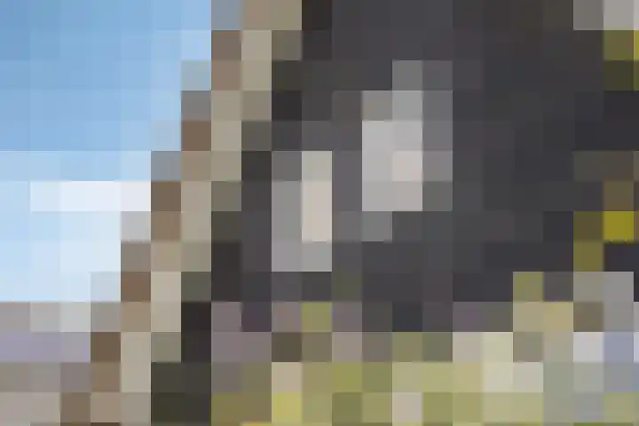 Otterpad 1 Scheerwolde thumbnail 5
