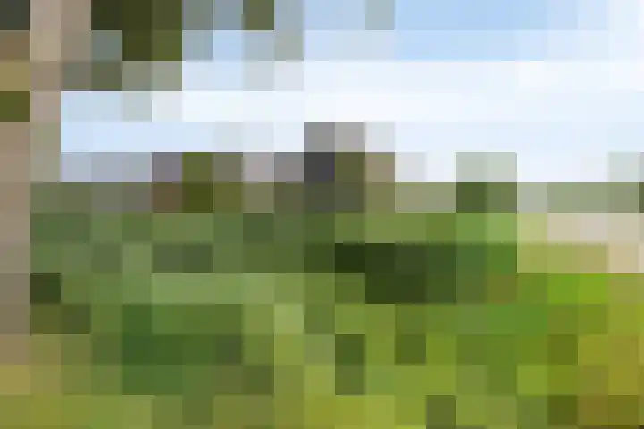 Otterpad 1 Scheerwolde thumbnail 61