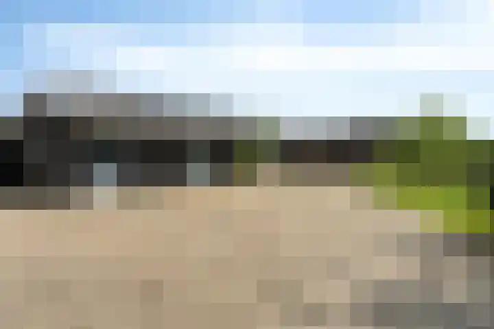 Otterpad 1 Scheerwolde thumbnail 7