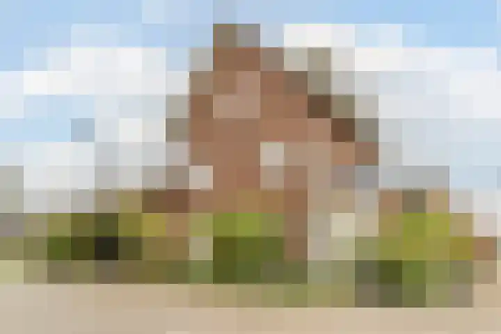 Ottersingel 33 Culemborg thumbnail 44
