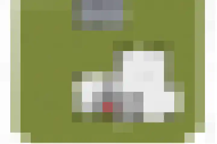 Ottersingel 33 Culemborg thumbnail 52