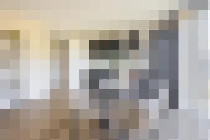 Otterstraat 113 Eindhoven thumbnail 17