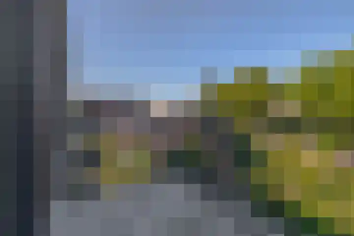 Otterstraat 113 Eindhoven thumbnail 5