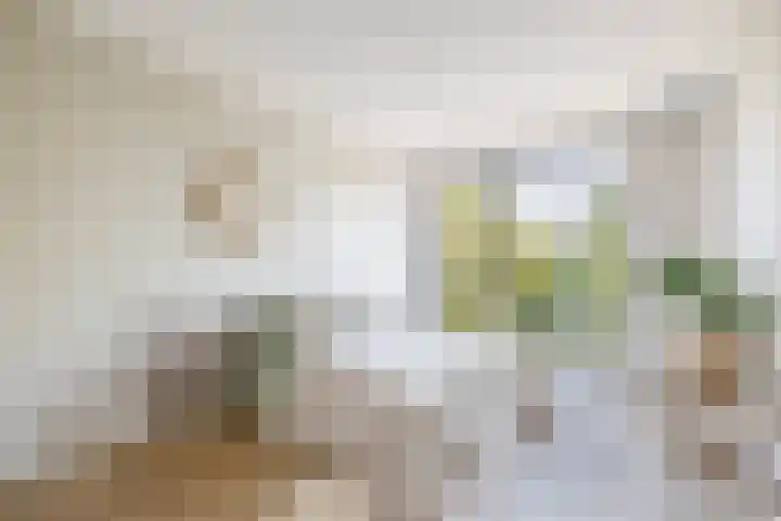 Otterstraat 85 Eindhoven thumbnail 4