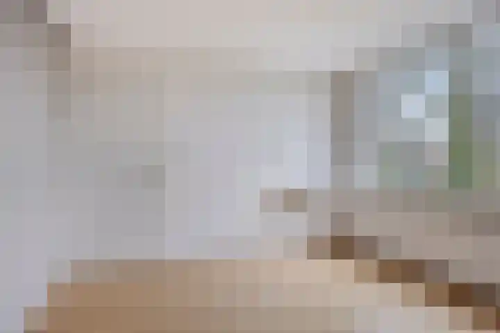 Otto Eerelmanweg 25 Eelde thumbnail 29