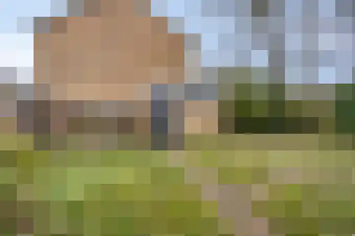 Otto Eerelmanweg 25 Eelde thumbnail 34