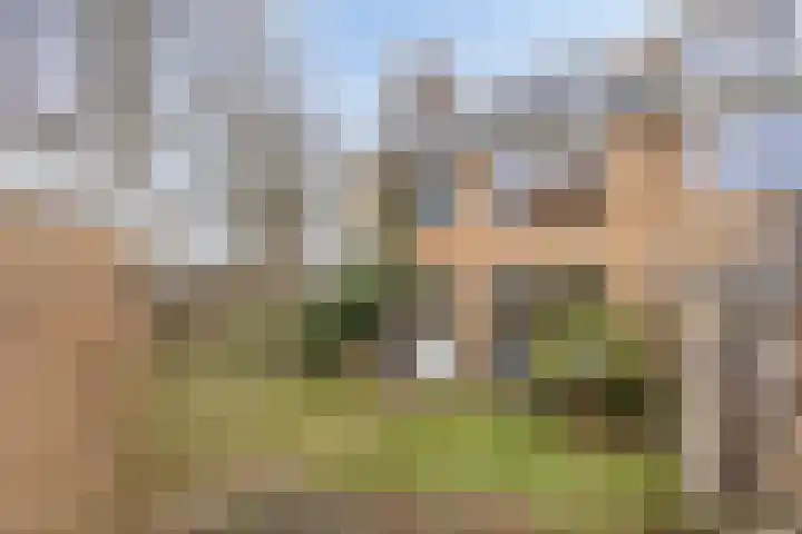 Otto Eerelmanweg 25 Eelde thumbnail 36