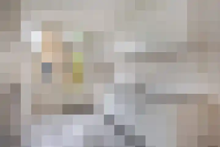 Otto Eerelmanweg 25 Eelde thumbnail 4