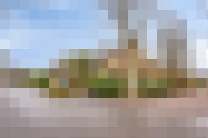 Otto Eerelmanweg 25 Eelde thumbnail 8