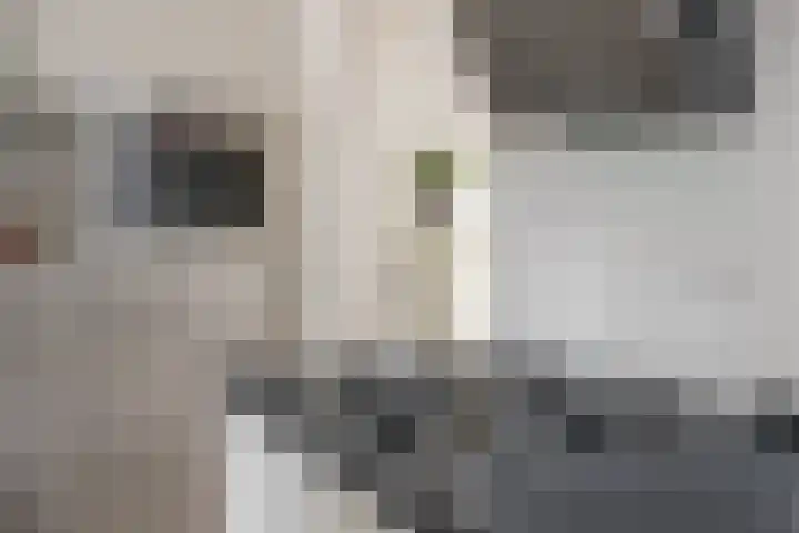 Ottoweg 13 Heelsum thumbnail 17