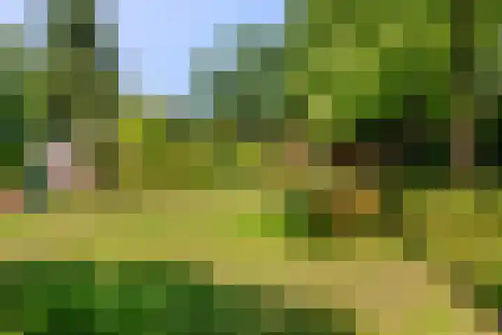 Ottoweg 13 Heelsum thumbnail 46