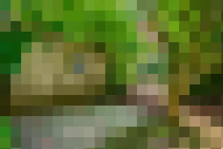 Ottoweg 13 Heelsum thumbnail 47
