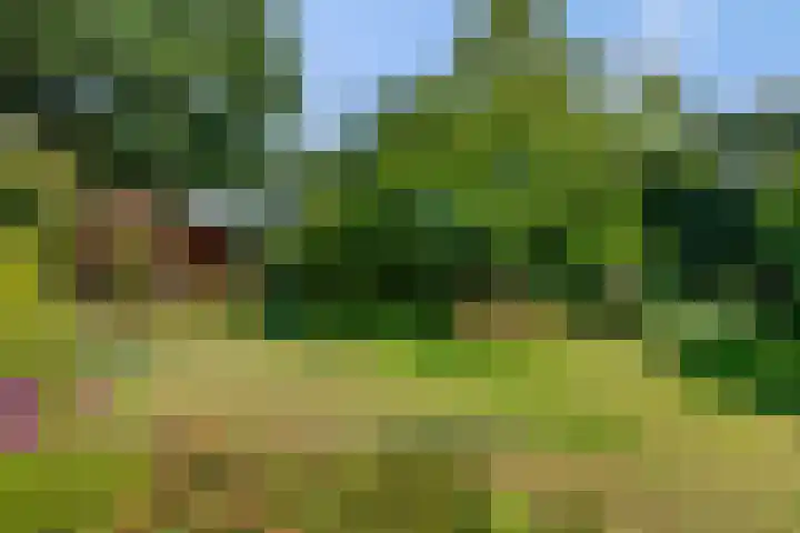 Ottoweg 13 Heelsum thumbnail 50