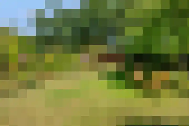 Ottoweg 13 Heelsum thumbnail 52