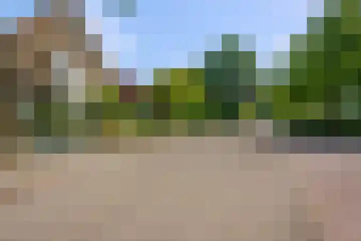 Ottoweg 13 Heelsum thumbnail 60