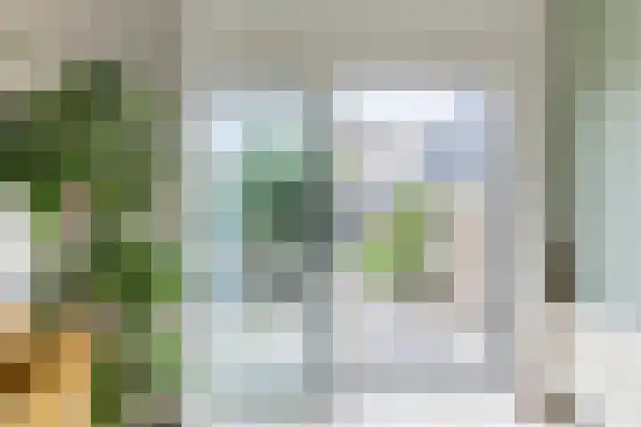 Oturia 4 Amsterdam thumbnail 10