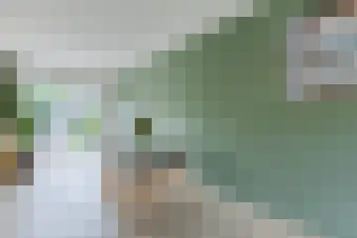 Oturia 4 Amsterdam thumbnail 11