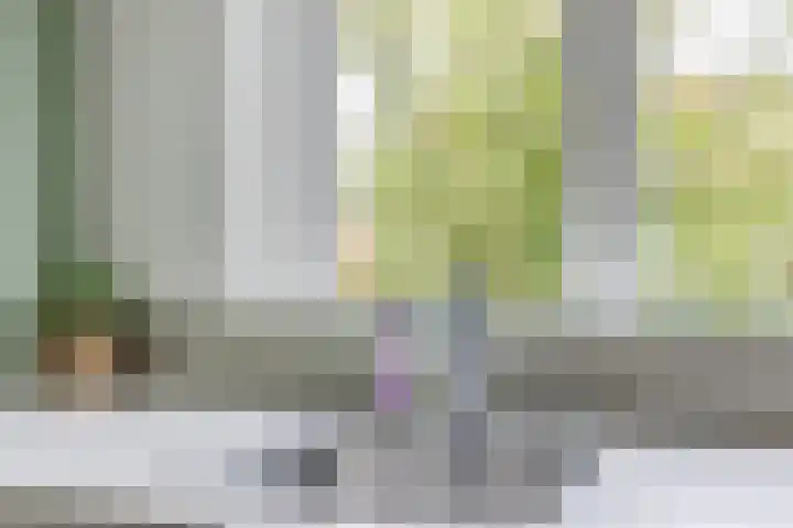 Oturia 4 Amsterdam thumbnail 15