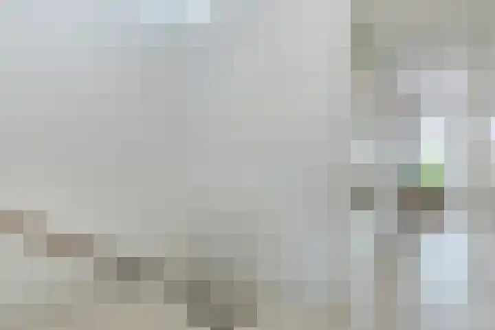 Oturia 4 Amsterdam thumbnail 24