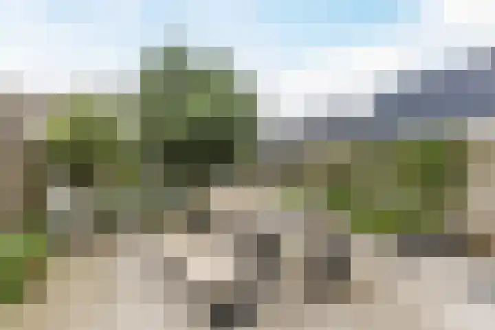 Oturia 4 Amsterdam thumbnail 27