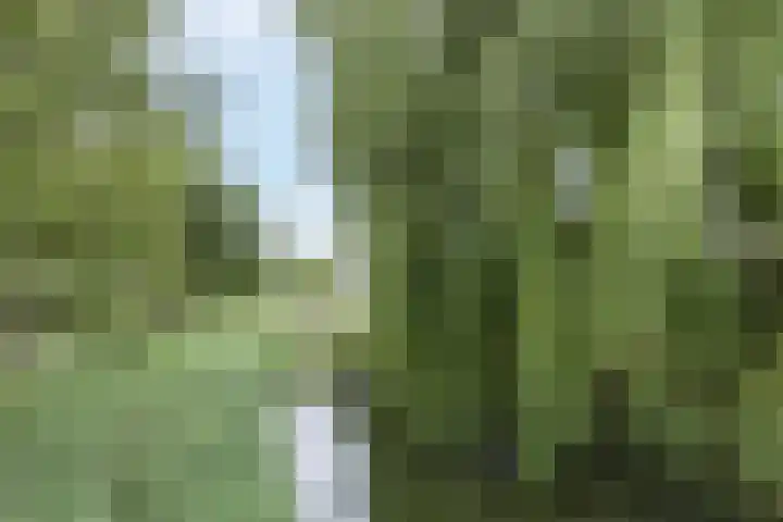 Oturia 4 Amsterdam thumbnail 32