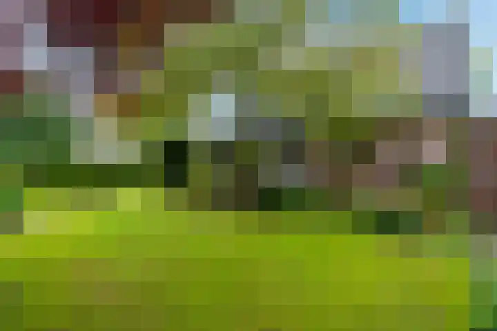 Oturia 4 Amsterdam thumbnail 33