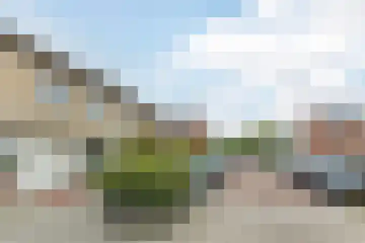 Oturia 4 Amsterdam thumbnail 5