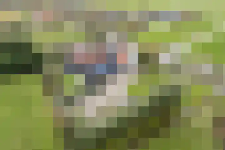 Oud-Bodegraafseweg 108 Bodegraven foto 2