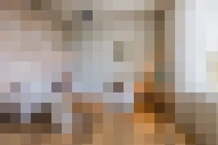 Oud-Bodegraafseweg 108 Bodegraven thumbnail 21