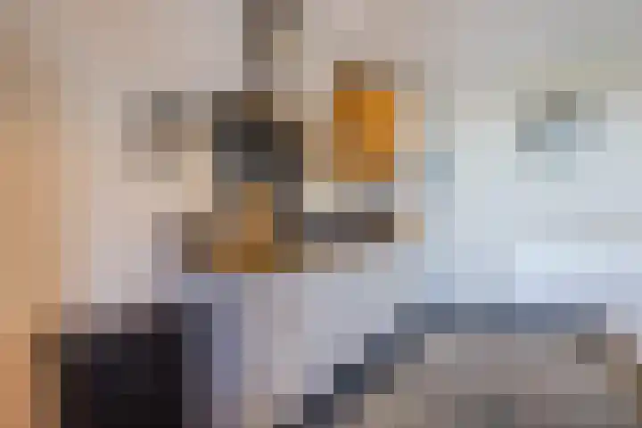 Oud-Bodegraafseweg 108 Bodegraven thumbnail 25