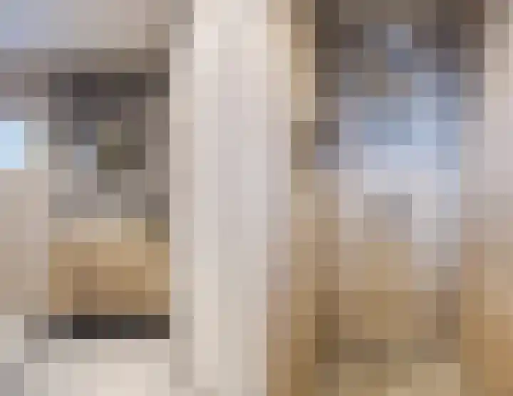 Oud-Bodegraafseweg 108 Bodegraven thumbnail 4