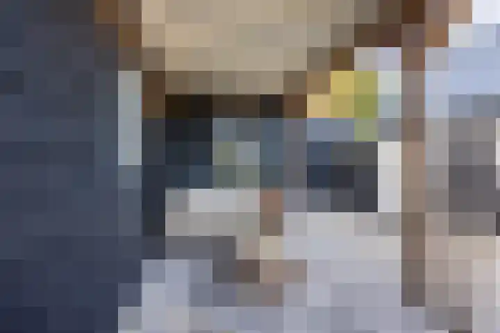 Oud-Bodegraafseweg 108 Bodegraven thumbnail 42