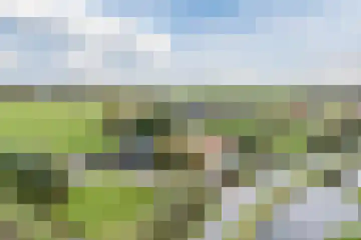 Oud-Bodegraafseweg 108 Bodegraven thumbnail 56