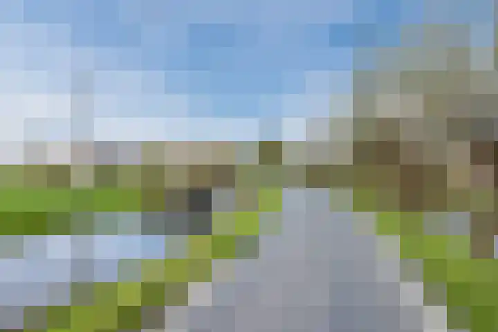 Oud-Bodegraafseweg 108 Bodegraven thumbnail 57