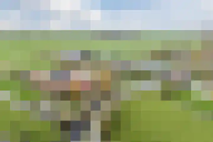 Oud-Bodegraafseweg 108 Bodegraven thumbnail 59