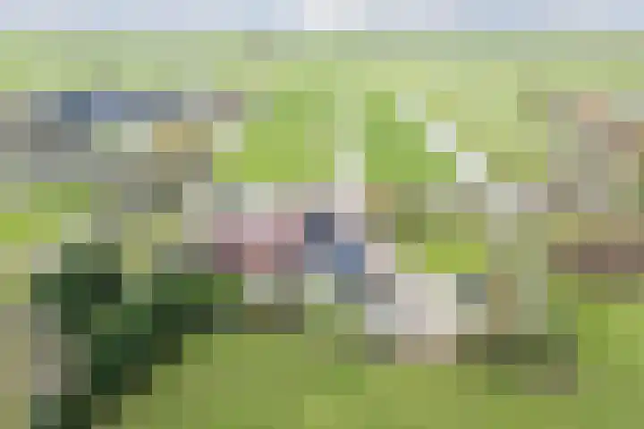 Oud-Bodegraafseweg 108 Bodegraven thumbnail 60