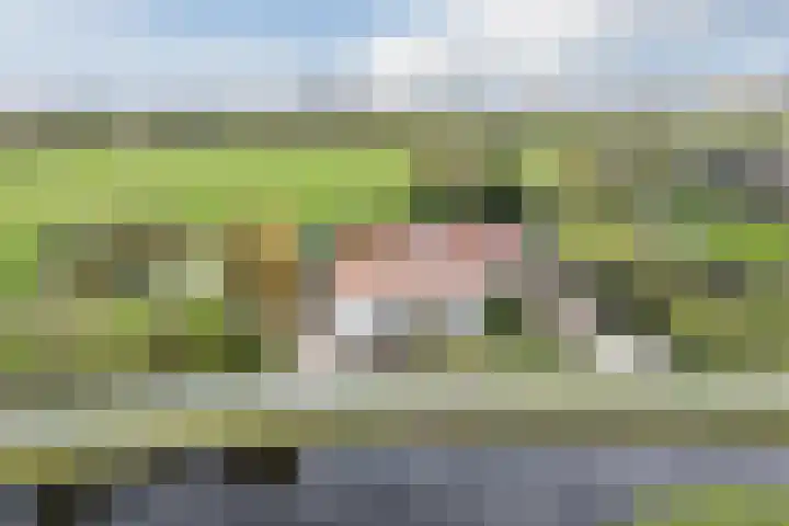 Oud-Bodegraafseweg 108 Bodegraven thumbnail 7