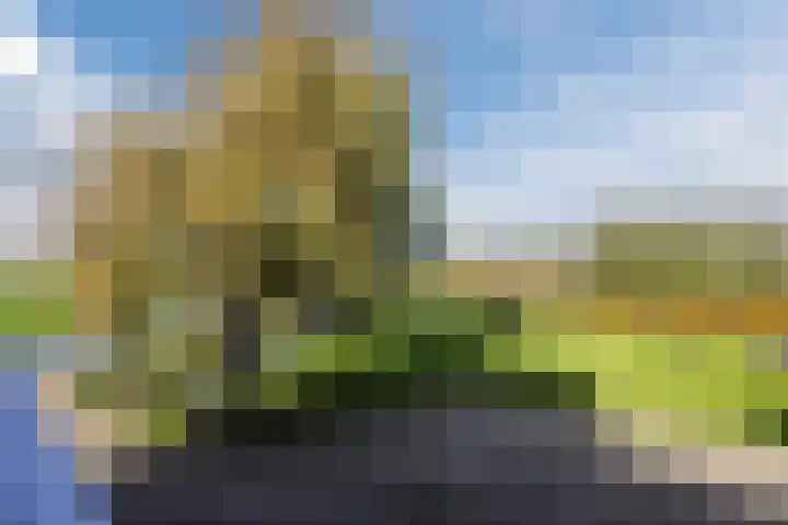 Oud-Bodegraafseweg 108 Bodegraven thumbnail 9