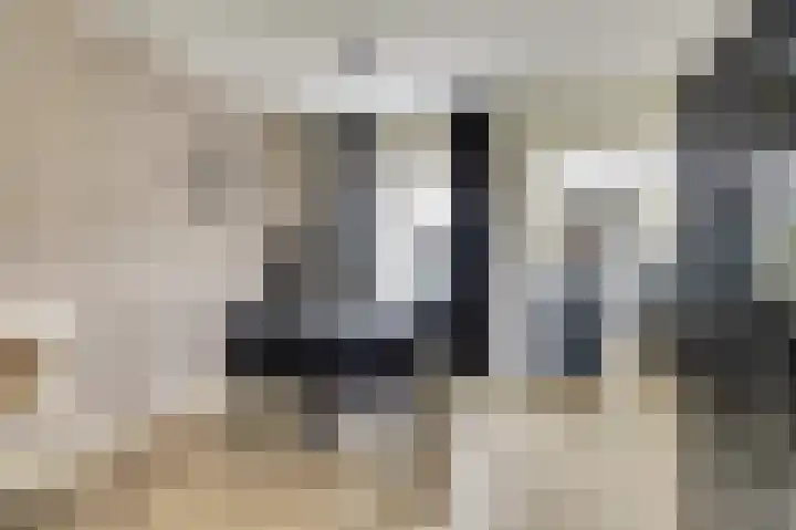 Oud Jaagpad 8 Harlingen thumbnail 6