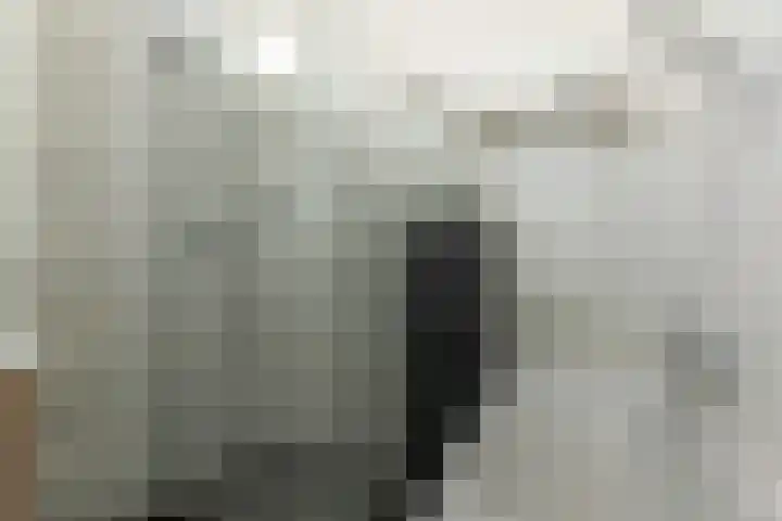 Oud Kaatsveld 27 Franeker thumbnail 24