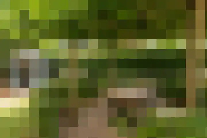 Oud Kaatsveld 27 Franeker thumbnail 4