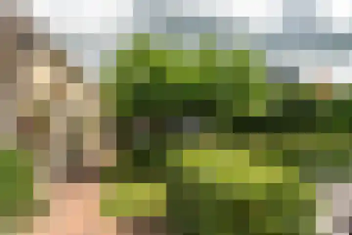 Oud Kaatsveld 27 Franeker thumbnail 41